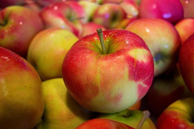 Nutrition for a Long Life