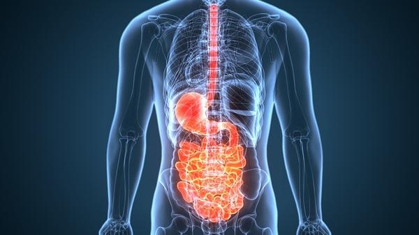 Chiropractic for Your Digestive Health